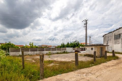 Helårsgrund i Leiria, Leiria, Leiria - € 299.000 | Ref: ZMPT584615 - foto 36