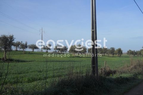 Terra a Aljustrel, Beja, Aljustrel - € 47.500 | Ref: BJ39521 - foto 5
