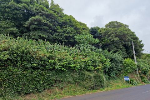 Grond in Prainha, Pico, Prainha - € 60.000 | Ref: AZ93340MK - foto 11