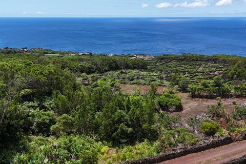 Terra a Sao Mateus, Graciosa, Sao Mateus - € 120.000 | Ref: AZ97664MK - foto 2