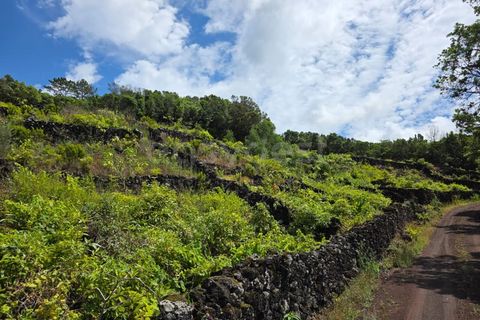 Terra a Sao Mateus, Graciosa, Sao Mateus - € 120.000 | Ref: AZ97664MK - foto 4