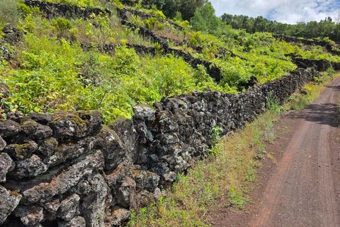 Terra a Sao Mateus, Graciosa, Sao Mateus - € 120.000 | Ref: AZ97664MK - foto 8