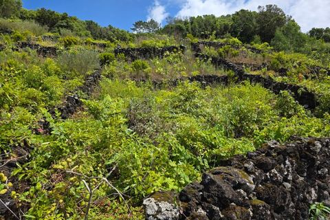 Terra a Sao Mateus, Graciosa, Sao Mateus - € 120.000 | Ref: AZ97664MK - foto 9
