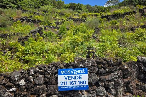 Terra a Sao Mateus, Graciosa, Sao Mateus - € 120.000 | Ref: AZ97664MK - foto 11
