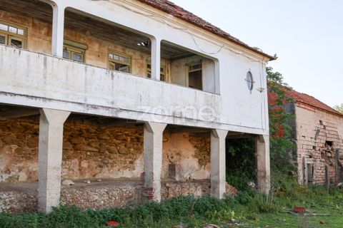 Villa i Pombal, Leiria, Pombal - € 350.000 | Ref: ZMPT587083 - foto 12