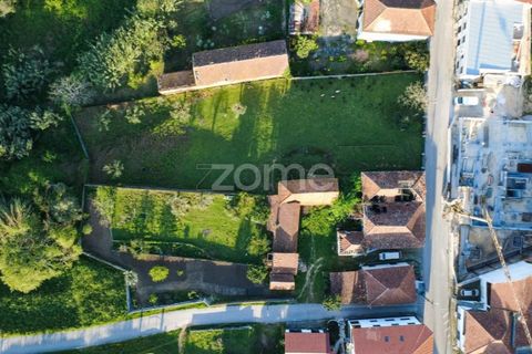 Villa i Pombal, Leiria, Pombal - € 350.000 | Ref: ZMPT587083 - foto 16