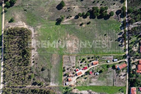 Terreno en Coruche, Santarem, Coruche - € 385.000 | Ref: OR90961EW (2) - photo 1
