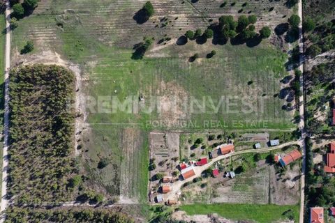 Terreno en Coruche, Santarem, Coruche - € 385.000 | Ref: OR90961EW (2) - photo 6