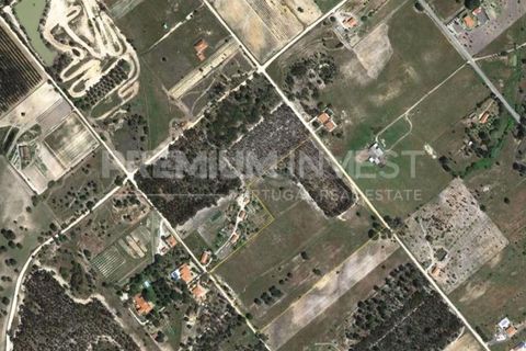 Terreno en Coruche, Santarem, Coruche - € 385.000 | Ref: OR90961EW (2) - photo 7