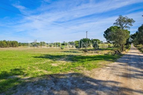 Terreno en Coruche, Santarem, Coruche - € 385.000 | Ref: OR90961EW (2) - photo 8
