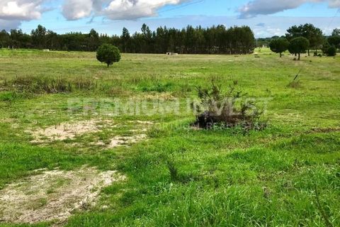 Terreno en Coruche, Santarem, Coruche - € 385.000 | Ref: OR90961EW (2) - photo 9