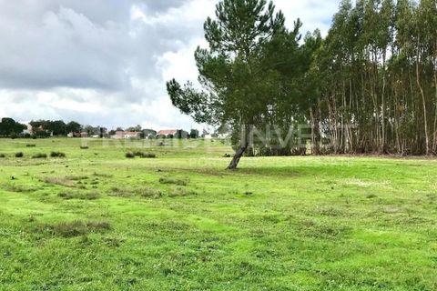 Terreno en Coruche, Santarem, Coruche - € 385.000 | Ref: OR90961EW (2) - photo 10