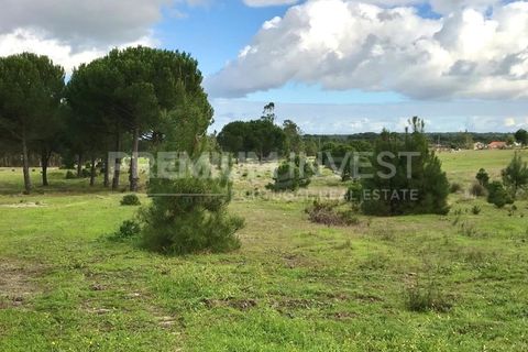 Terreno en Coruche, Santarem, Coruche - € 385.000 | Ref: OR90961EW (2) - photo 12