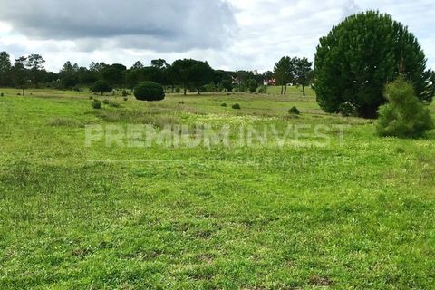 Terreno en Coruche, Santarem, Coruche - € 385.000 | Ref: OR90961EW (2) - photo 14