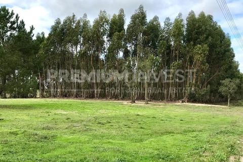 Terreno en Coruche, Santarem, Coruche - € 385.000 | Ref: OR90961EW (2) - photo 15