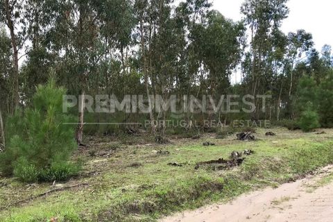 Terreno en Coruche, Santarem, Coruche - € 385.000 | Ref: OR90961EW (2) - photo 16