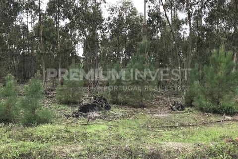 Terreno en Coruche, Santarem, Coruche - € 385.000 | Ref: OR90961EW (2) - photo 17