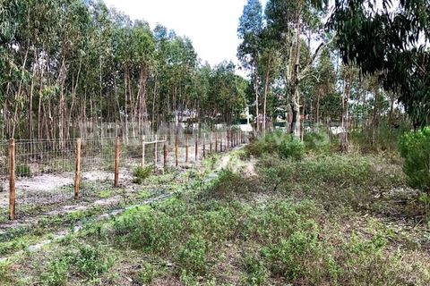Terreno en Coruche, Santarem, Coruche - € 385.000 | Ref: OR90961EW (2) - photo 18