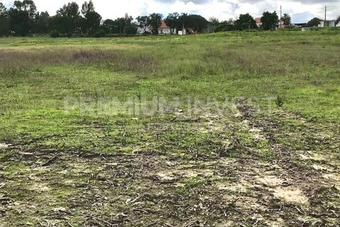 Terreno en Coruche, Santarem, Coruche - € 385.000 | Ref: OR90961EW (2) - photo 19