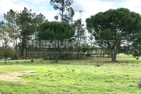 Terreno en Coruche, Santarem, Coruche - € 385.000 | Ref: OR90961EW (2) - photo 20