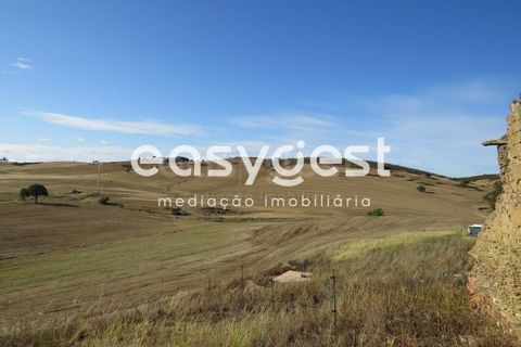 Farm hus i Castro Verde, Beja, Castro Verde - € 80.000 | Ref: BJ93103AJ - foto 8
