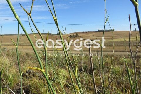 Farm hus i Castro Verde, Beja, Castro Verde - € 80.000 | Ref: BJ93103AJ - foto 9