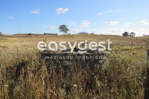 Farm hus i Castro Verde, Beja, Castro Verde - € 80.000 | Ref: BJ93103AJ - foto 10