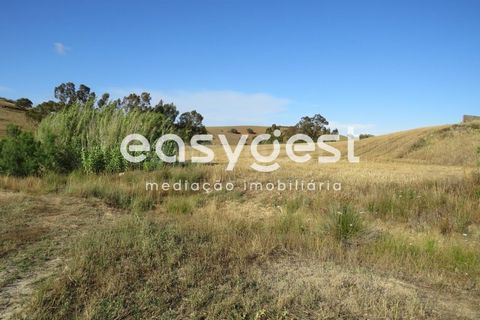 Farm hus i Castro Verde, Beja, Castro Verde - € 80.000 | Ref: BJ93103AJ - foto 11