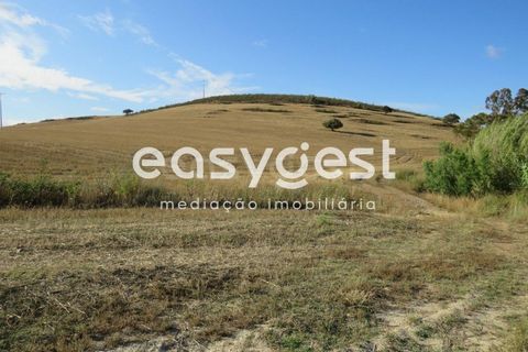 Farm hus i Castro Verde, Beja, Castro Verde - € 80.000 | Ref: BJ93103AJ - foto 12
