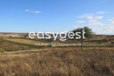 Farm hus i Castro Verde, Beja, Castro Verde - € 80.000 | Ref: BJ93103AJ - foto 14