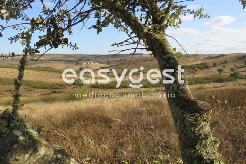 Farm hus i Castro Verde, Beja, Castro Verde - € 80.000 | Ref: BJ93103AJ - foto 15