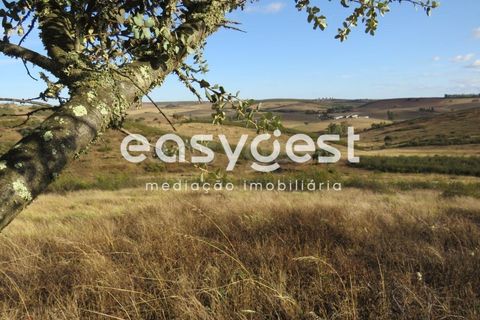 Farm hus i Castro Verde, Beja, Castro Verde - € 80.000 | Ref: BJ93103AJ - foto 16