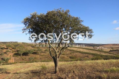 Farm hus i Castro Verde, Beja, Castro Verde - € 80.000 | Ref: BJ93103AJ - foto 17