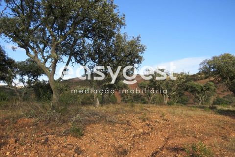 Farm hus i Castro Verde, Beja, Castro Verde - € 80.000 | Ref: BJ93103AJ - foto 19