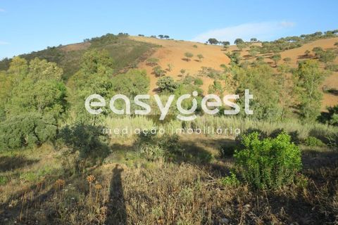 Farm hus i Castro Verde, Beja, Castro Verde - € 80.000 | Ref: BJ93103AJ - foto 20