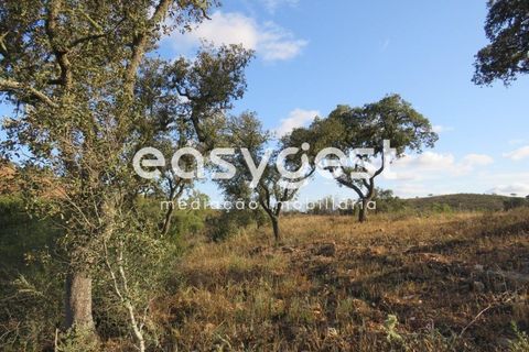 Farm hus i Castro Verde, Beja, Castro Verde - € 80.000 | Ref: BJ93103AJ - foto 21