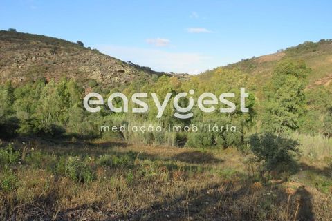 Farm hus i Castro Verde, Beja, Castro Verde - € 80.000 | Ref: BJ93103AJ - foto 22