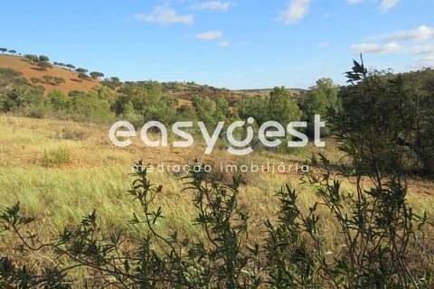 Farm hus i Castro Verde, Beja, Castro Verde - € 80.000 | Ref: BJ93103AJ - foto 23
