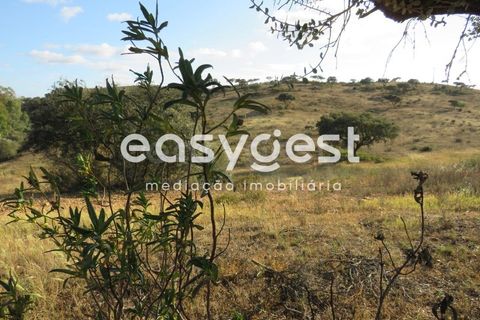 Farm hus i Castro Verde, Beja, Castro Verde - € 80.000 | Ref: BJ93103AJ - foto 24