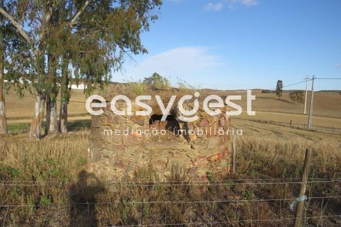 Farm hus i Castro Verde, Beja, Castro Verde - € 80.000 | Ref: BJ93103AJ - foto 28