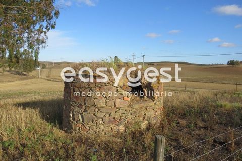 Farm hus i Castro Verde, Beja, Castro Verde - € 80.000 | Ref: BJ93103AJ - foto 29