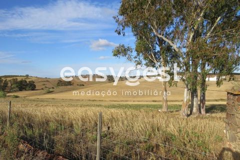 Farm hus i Castro Verde, Beja, Castro Verde - € 80.000 | Ref: BJ93103AJ - foto 30