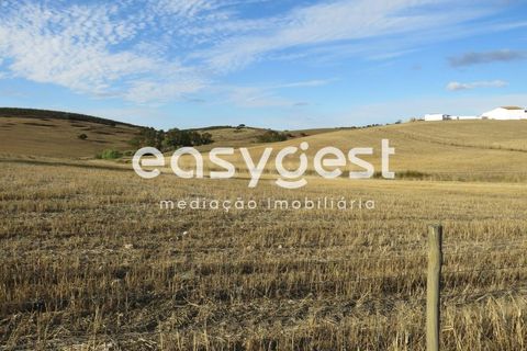 Farm hus i Castro Verde, Beja, Castro Verde - € 80.000 | Ref: BJ93103AJ - foto 31
