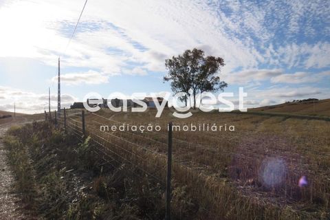 Farm hus i Castro Verde, Beja, Castro Verde - € 80.000 | Ref: BJ93103AJ - foto 32