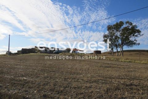 Farm hus i Castro Verde, Beja, Castro Verde - € 80.000 | Ref: BJ93103AJ - foto 33