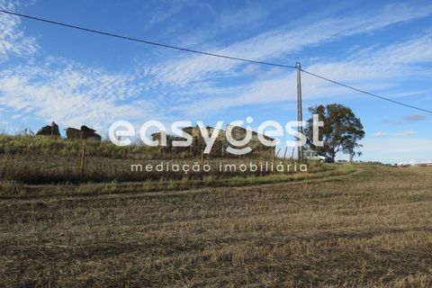 Farm hus i Castro Verde, Beja, Castro Verde - € 80.000 | Ref: BJ93103AJ - foto 34