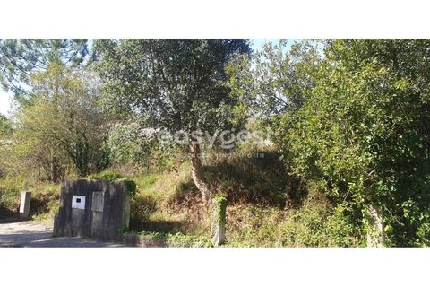 Terra em Alquerubim, Aveiro, Alquerubim - € 41.500 | Ref: EA94320 - foto 2