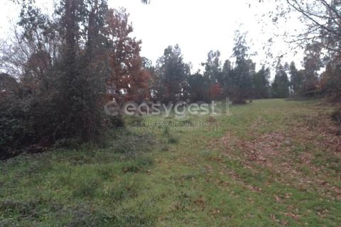 Helårsgrund i Tondela, Viseu, Tondela - € 90.000 | Ref: VS94479 - foto 2