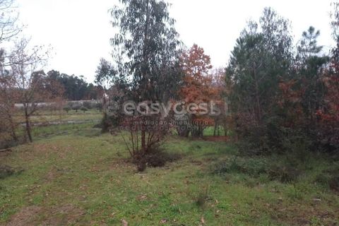 Helårsgrund i Tondela, Viseu, Tondela - € 90.000 | Ref: VS94479 - foto 4