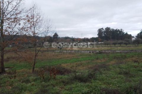 Helårsgrund i Tondela, Viseu, Tondela - € 90.000 | Ref: VS94479 - foto 5